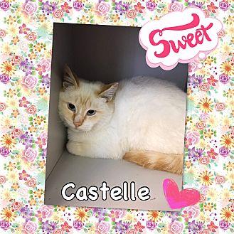 Castelle (21475886)