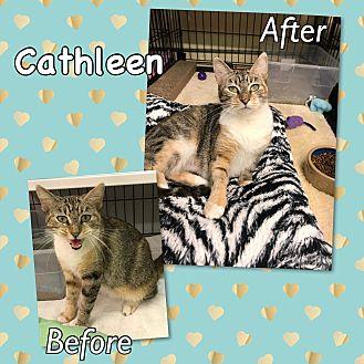 Cathleen (19936872)