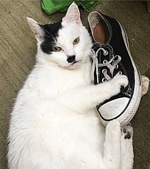 Charlie (17521634)