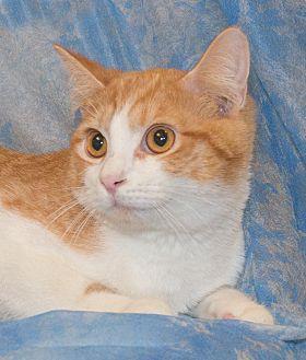 Charlie (20681693)