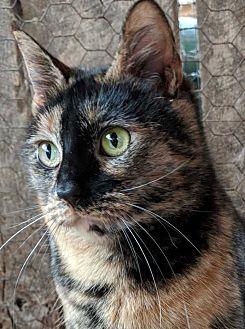 Chloe (19382471)