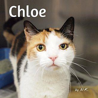 Chloe (21523621)