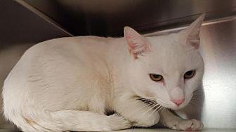 Chowder (21573497)