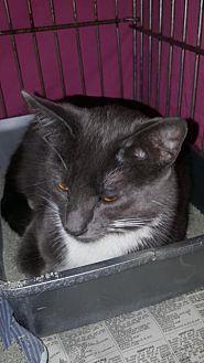 Cinders (21512472)