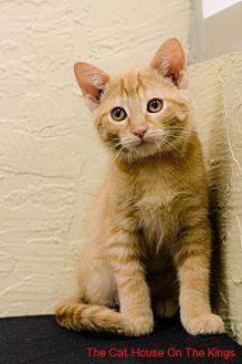 Cinnamon (21604326)