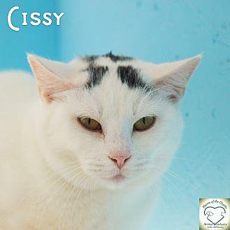 CISSY (11441831)