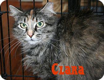 Clara (10752132)