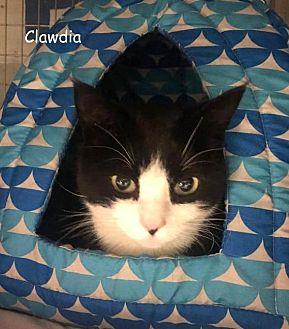 CLAWDIA (21557083)