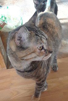 cleo (20520865)