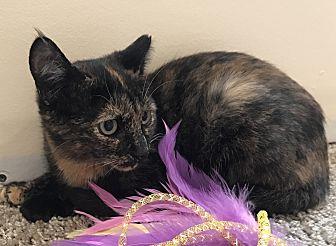 Coco (21245171)