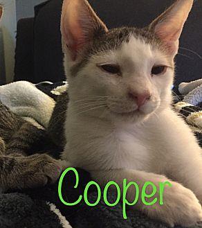 Cooper (20066318)