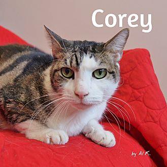 Corey (21475133)