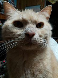 Cubby (20330704)