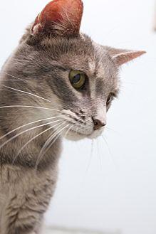 Darla (21352347)
