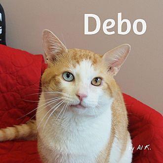 Debo (21475060)