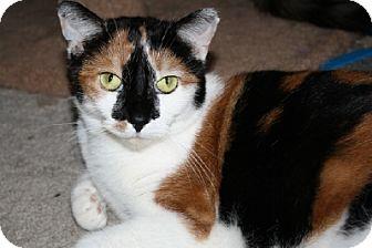 Delilah (18636645)