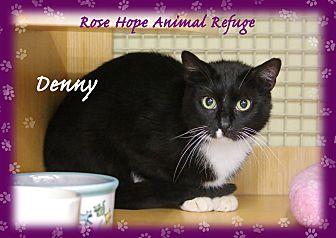 Denny (21160985)