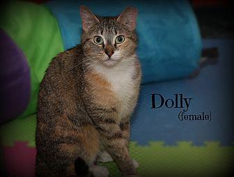 Dolly (21385732)