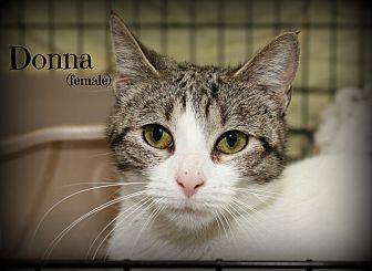 Donna (21424061)