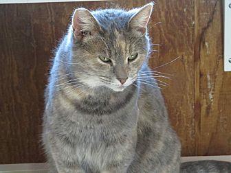 Dusty (17457963)