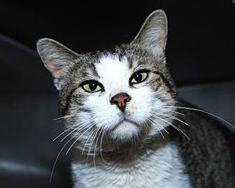 Dusty (21445027)