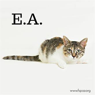 E.A (21475760)