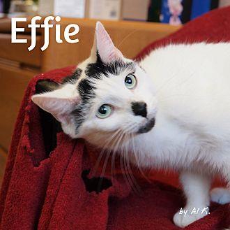 Effie (21314546)