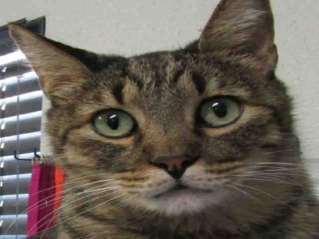 EINSTEIN (A134897)