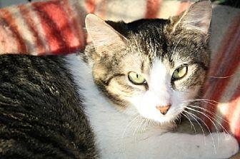 Eleanor – Fo (20626735)