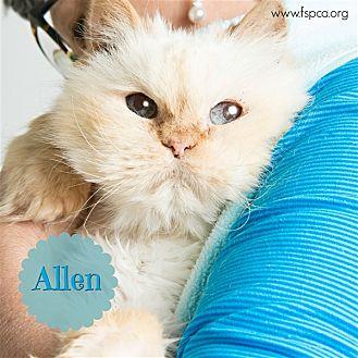 Ellen (21537373)