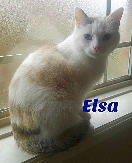 Elsa (20416678)