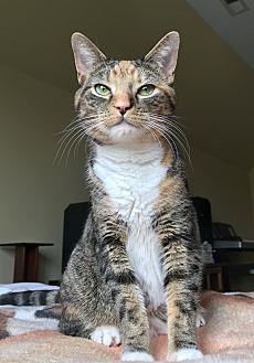 Emerald (21595451)