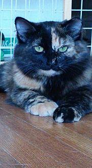 EMMA KAT (13999213)