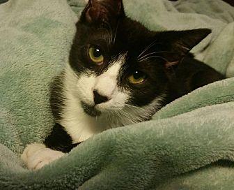 Ernie – Adop (21242445)