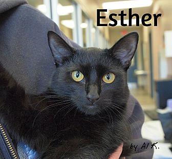 Esther (21523636)