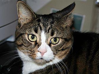 Felix (21569067)