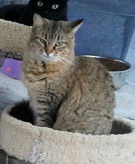 Fiona (14954475)