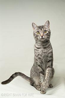 Fiona (21532579)