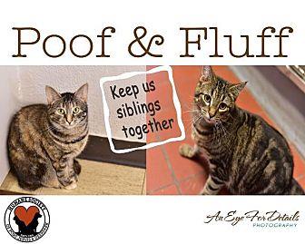 Fluff (18993182)