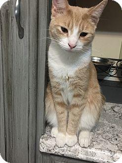 Flynn (15745796)