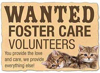 FOSTER HOME (13299588)