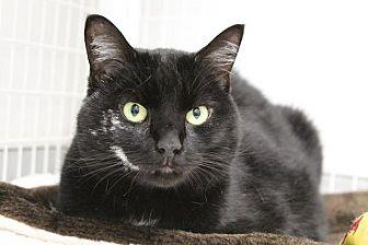 Frankie (21367114)