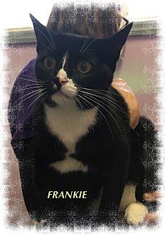 Frankie (21574216)