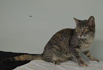 Geri (20977038)