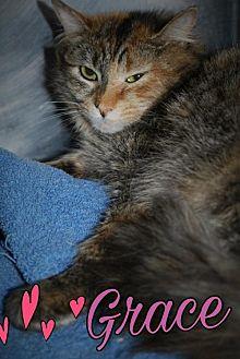 Grace (21239322)