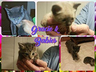 Gracie & Kit (21515914)