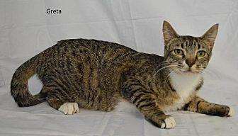 Greta (19244264)