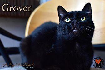 Grover (20610067)