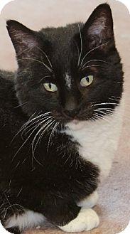 Hank (11249130)