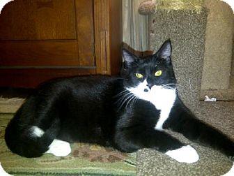 Hardy (9214072)